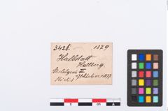 Etikett zu Perlenkette (NHMW-PRAE-003426)
